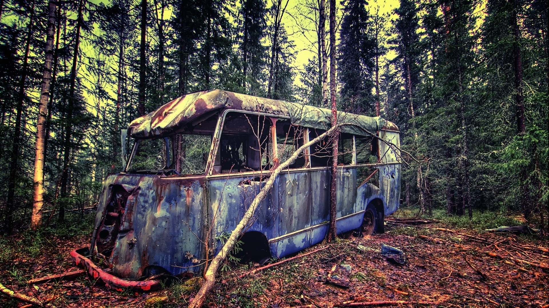 forêt épave bus branches