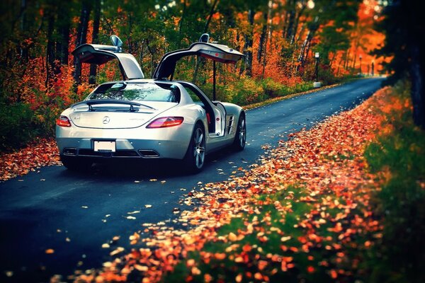 Na pięknym tle liści jedzie szary samochód