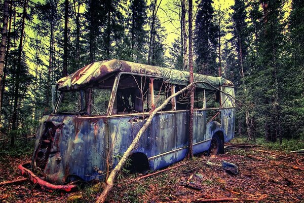 Vecchio bus rotto nel bosco