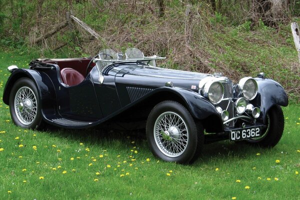 Oldtimer-Jaguar, Sportauto 1 in der Welt