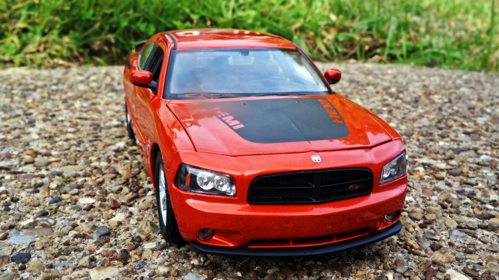 daytona dodge charger