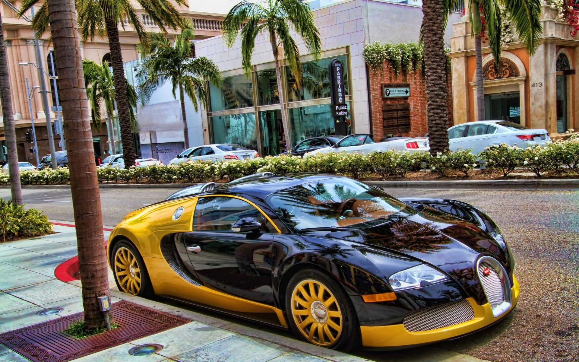 rápido coche deporte bugatti