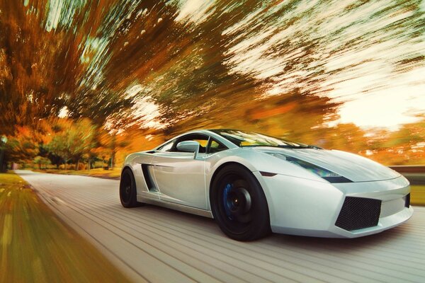 Deportivo Lamborghini blanco en el paisaje de otoño desenfoque