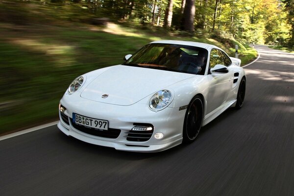White Porsche racing among dark forests