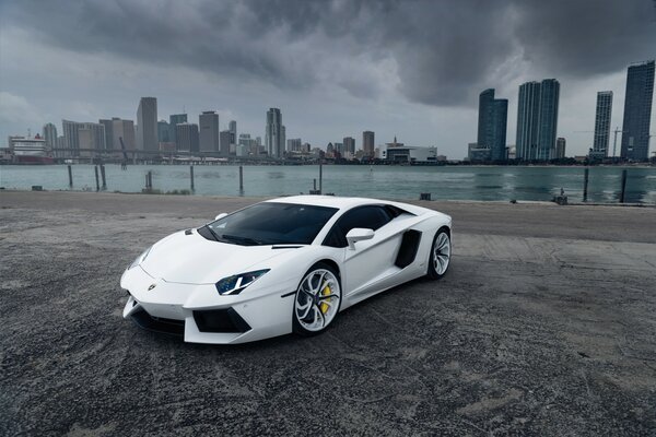 Lamborghini aventador white car on the background of the city