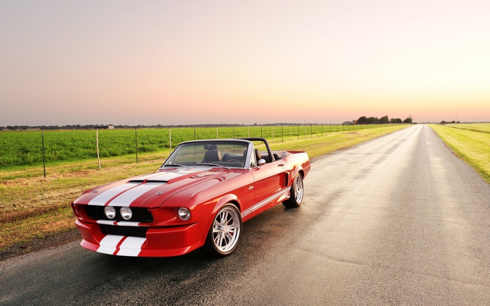 mustang vehicles ford wheel