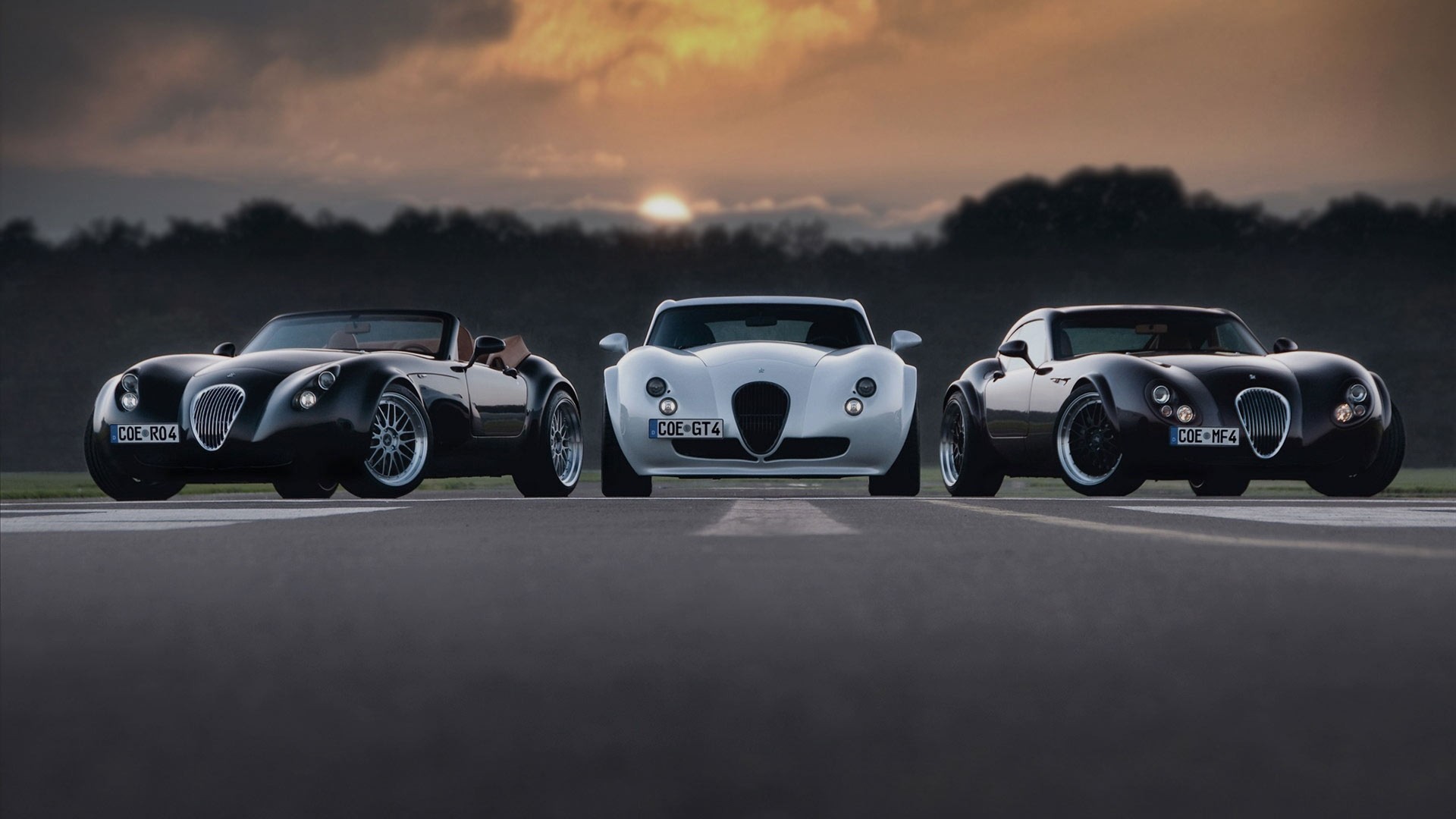 wiesmann floryda wiesmann