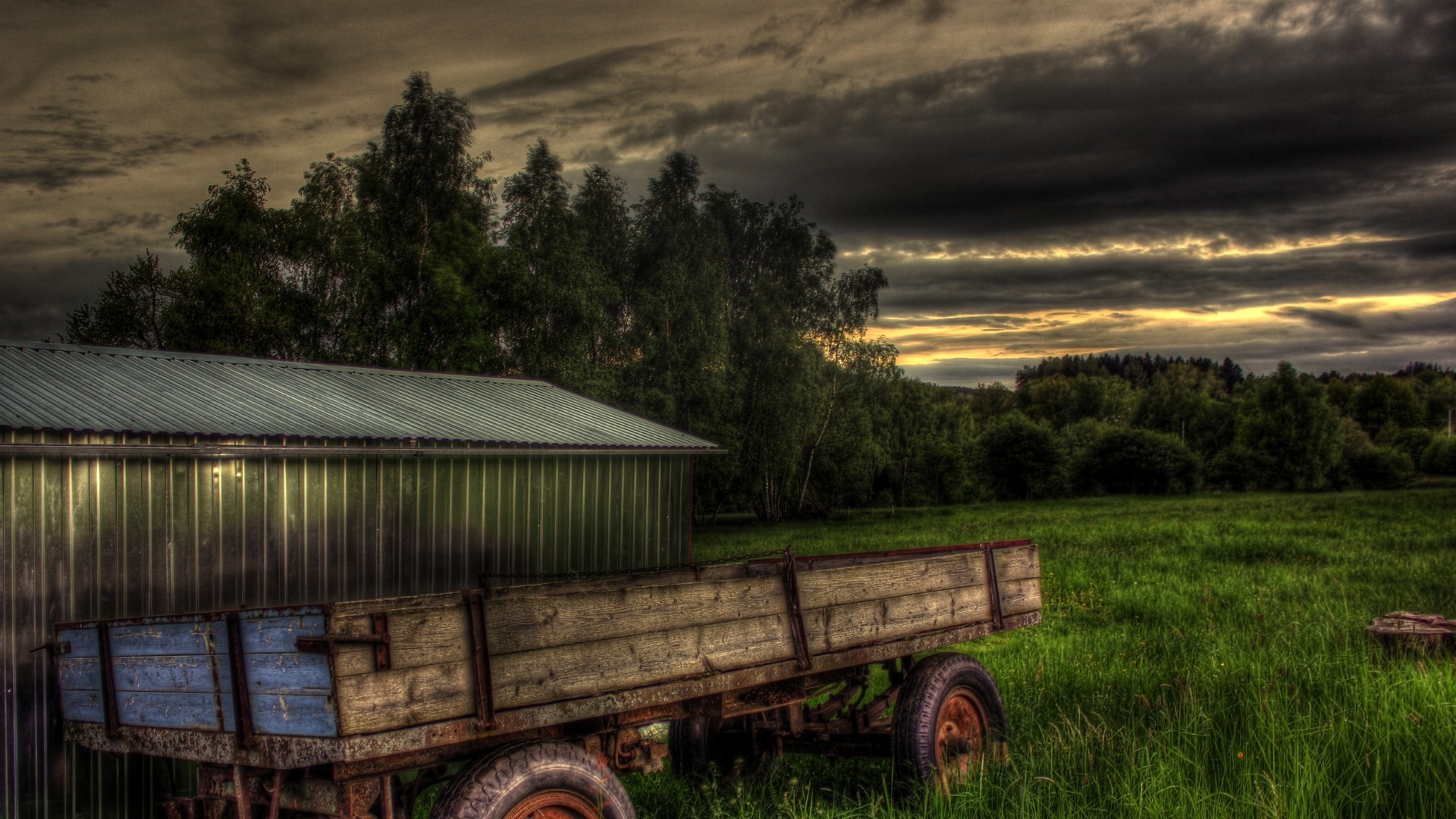 wagon twilight palm of the field