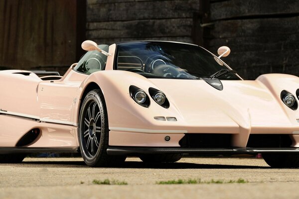 Exclusive pink supercar trash