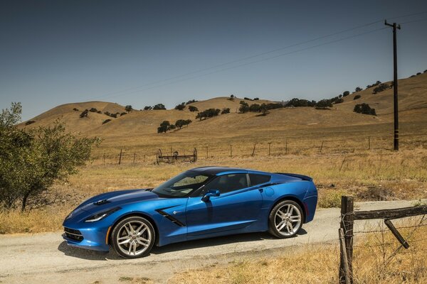 A blue car is driving through a pasture