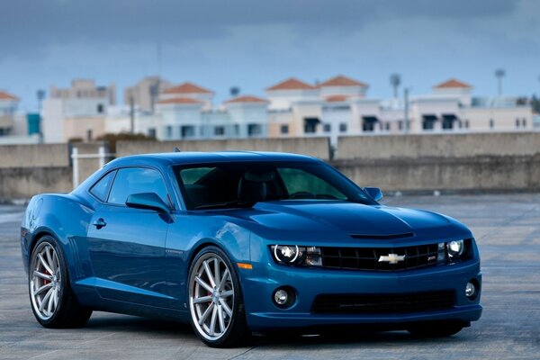 Blue Chevrolet Camaro on the background of pastures