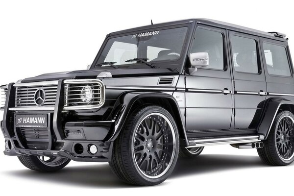 Beautiful large Mercedes SUV