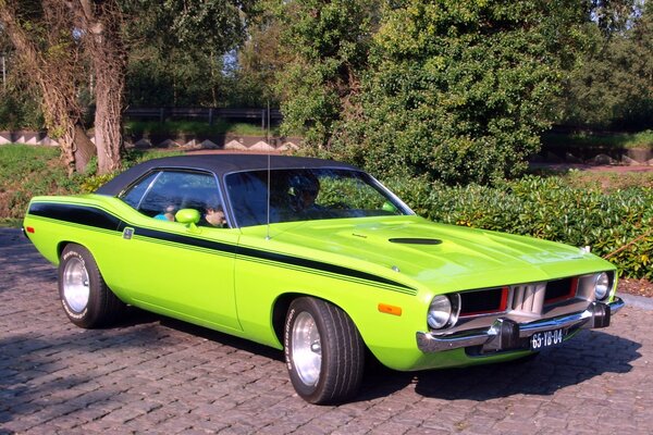 Classique masslkar Plymouth en vert