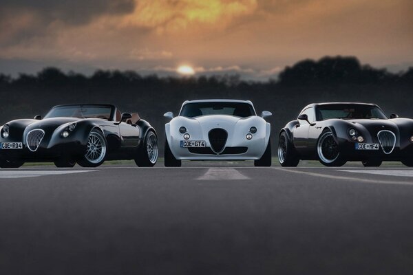 Wiesmann cars florida wisman