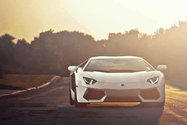 LAMBORGHINI AVENTADOR BEI SONNENUNTERGANG AUF DER STRECKE