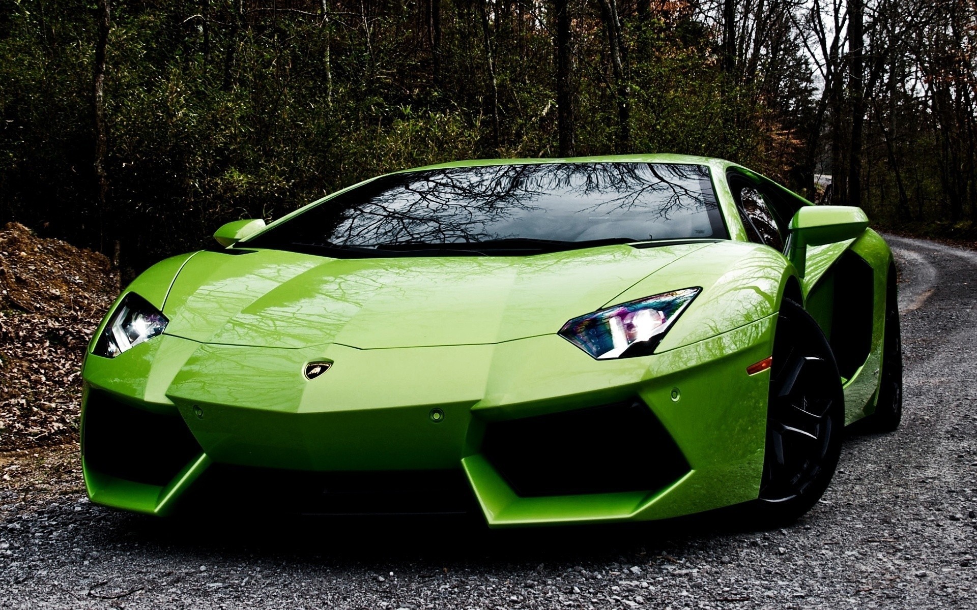 mig-15 lamborghini aventador carretera coche bosque gris