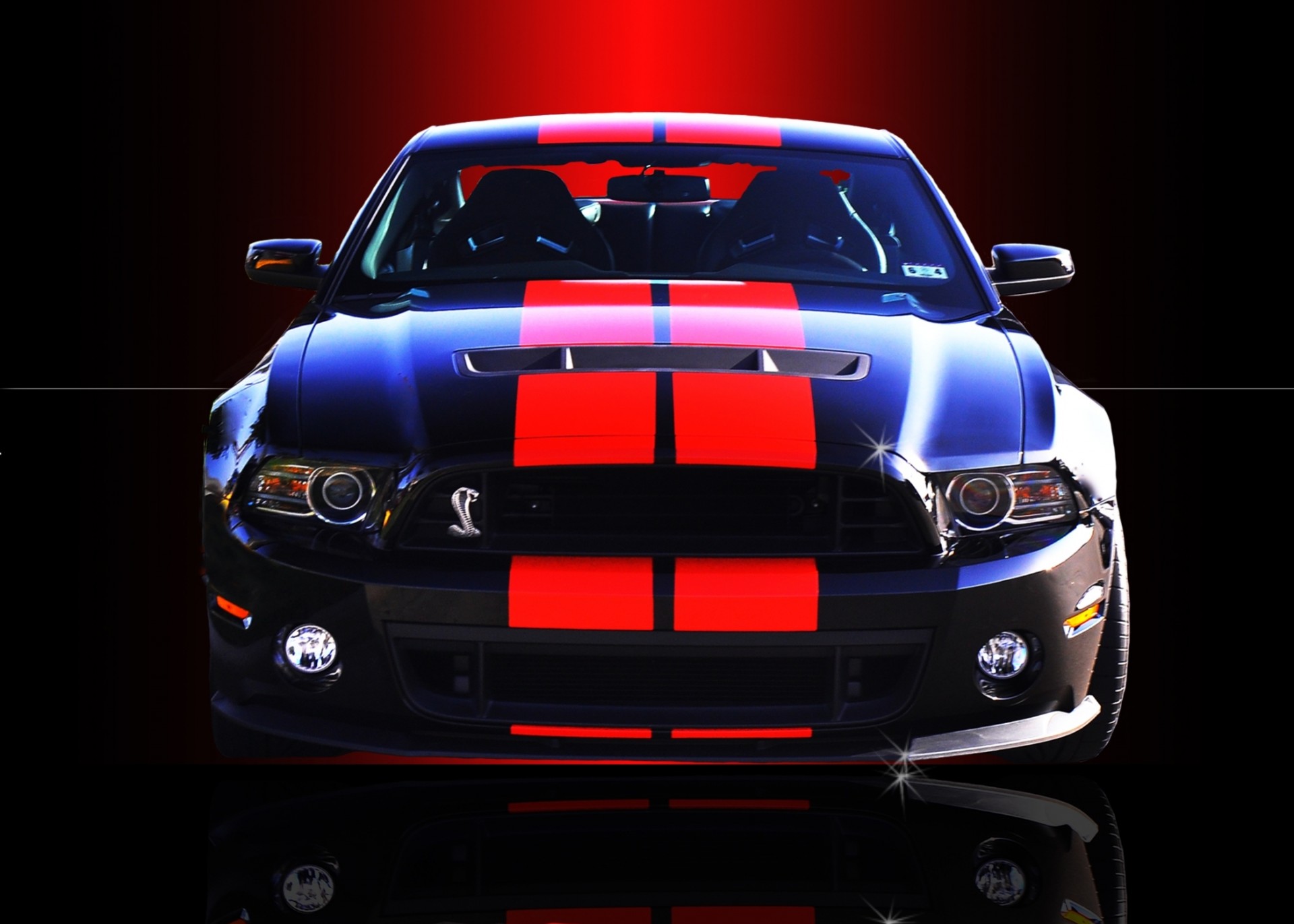 mustang cobra kind ford