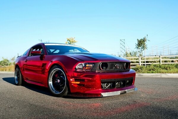 Red beautiful mustang on the background of nature