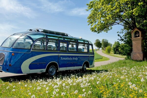 Blauer Bus, der durch die Serpentine fährt