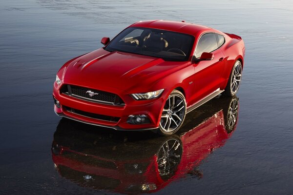 Red mustang on the wet floor