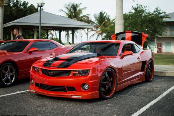 Sports chevrolet Camaro ss zl1