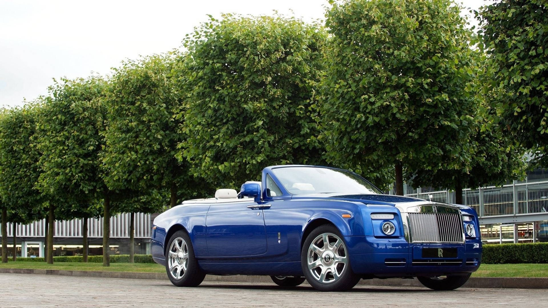 лес автомобиль природа весело rolls-royce