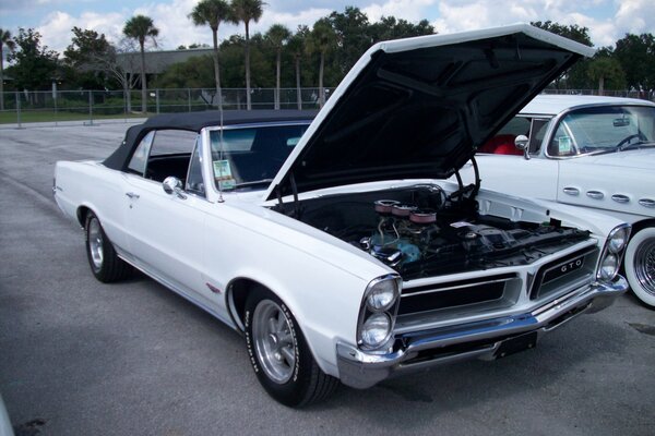 White pontiac with open hood