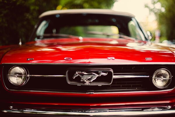 Red, classic mustang close-up