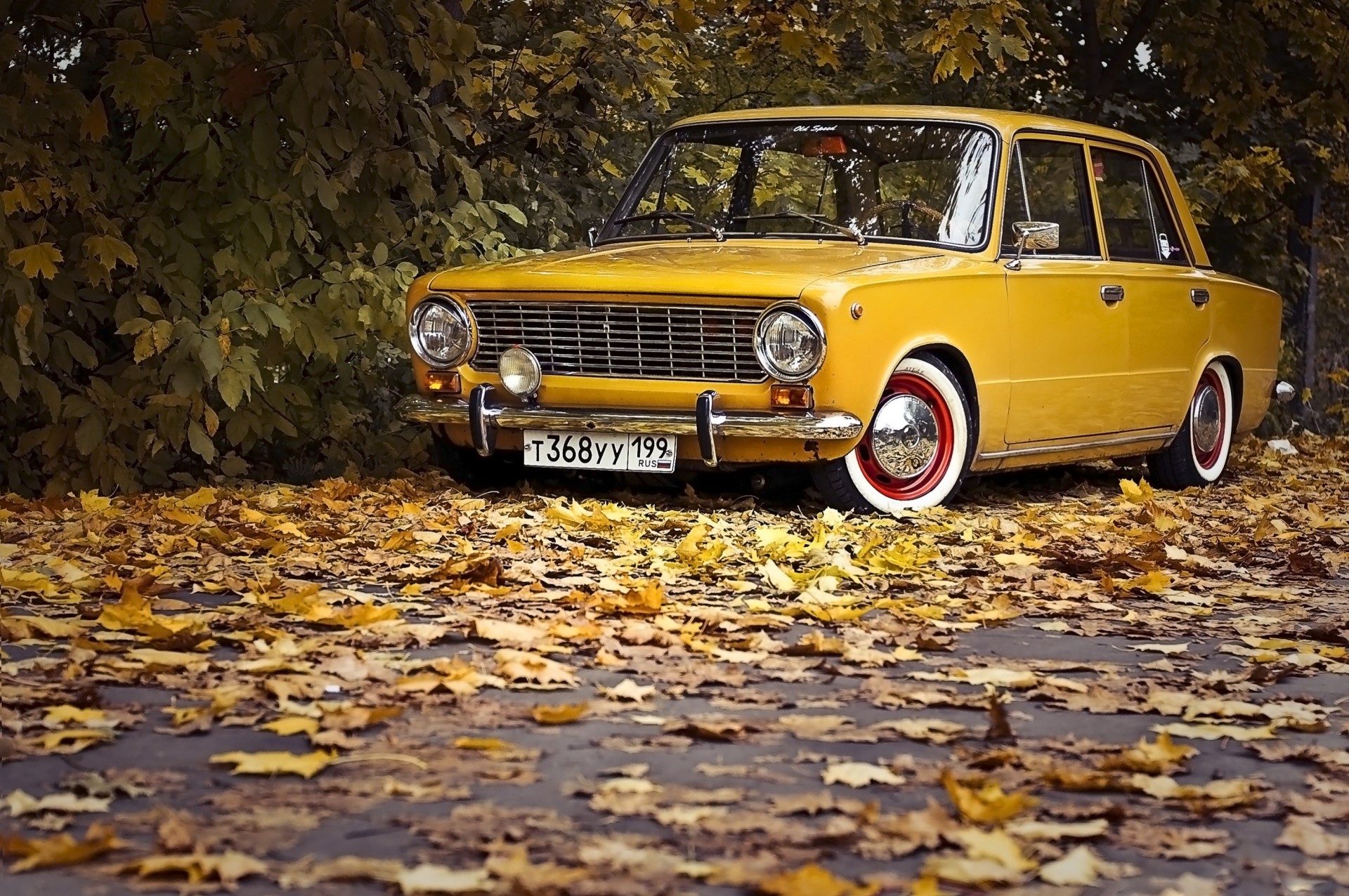 feuille classique rétro automne auto vases zhiguli