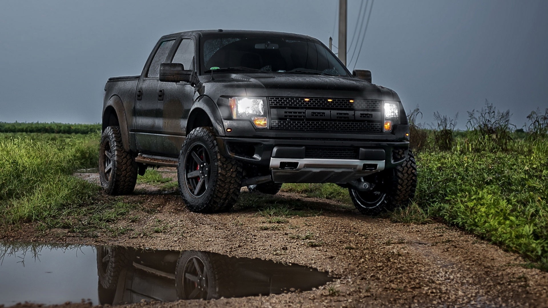 raptor ford carretera coche hierba gris