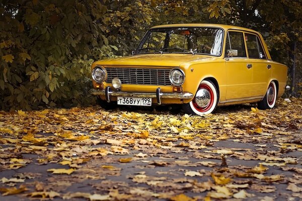 Gelbe Lada in Herbstlaub