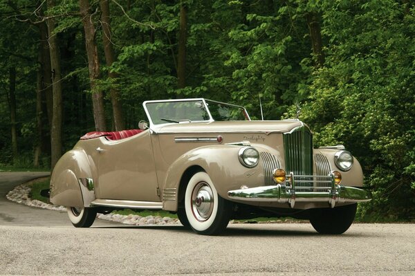 Old Old convertible en el camino del bosque