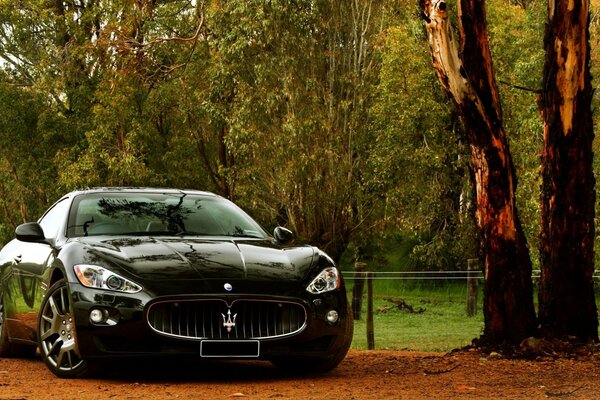 Black sports car coupe maserati granturismo on the background of nature