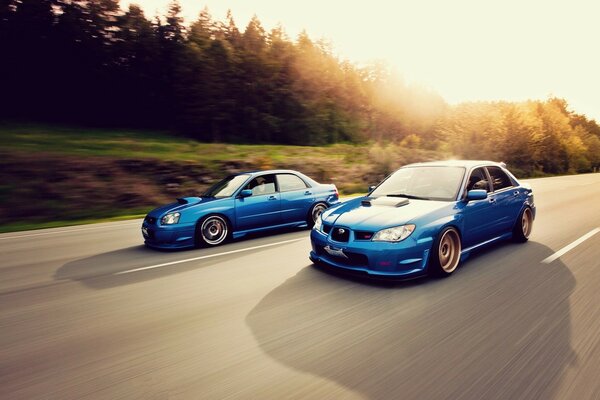 Two blue Subaru at speed. Forest and bright sun