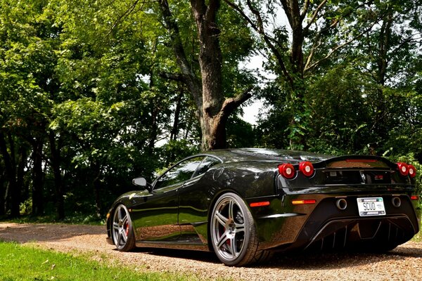 Coche deportivo italiano en el bosque