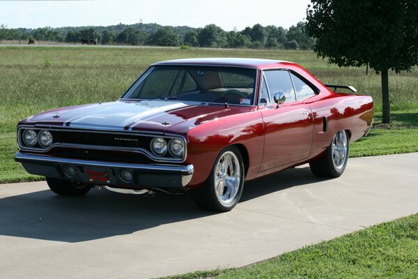 Classic red car on a field background