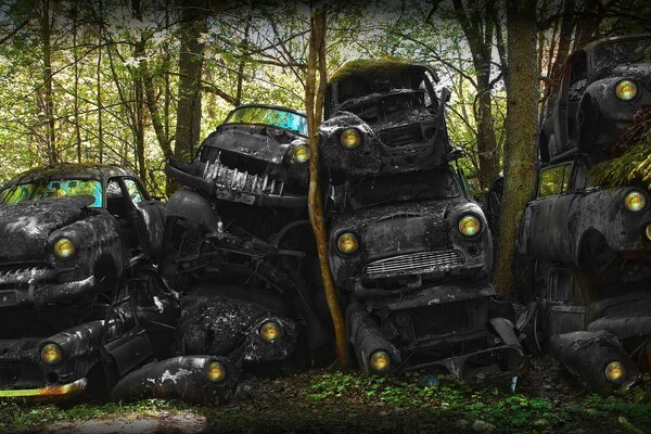 Discarica di vecchi veicoli neri nel bosco