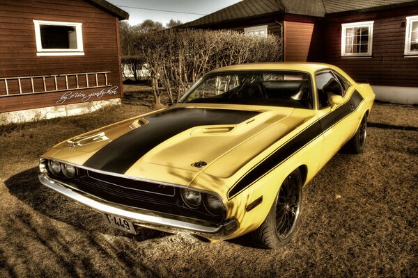 Coche amarillo en el fondo del interior rural