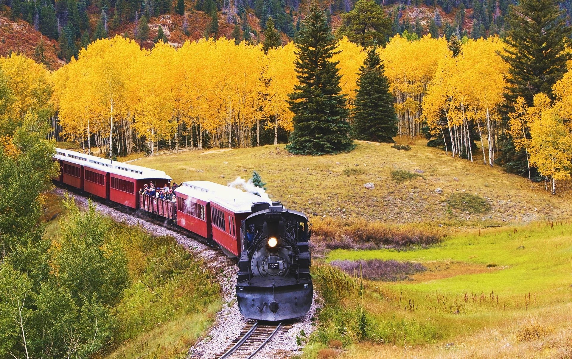 locomotive nature train automne palmiers