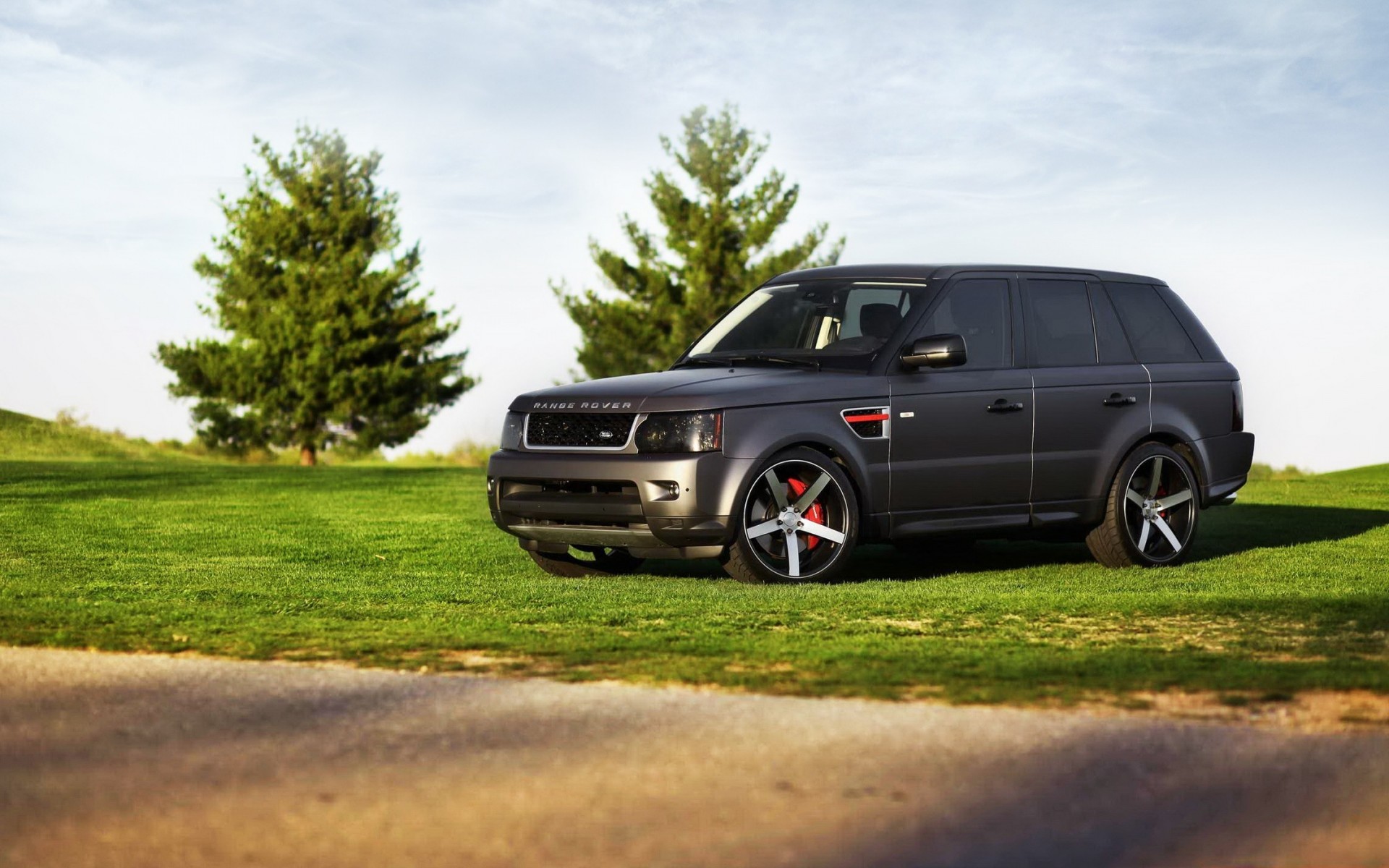 straße auto gras suv asiatisch land rover