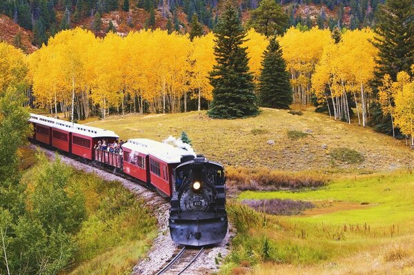 Tren antiguo en el fondo del bosque de otoño