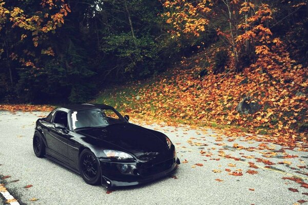 Coche negro contra el bosque de otoño