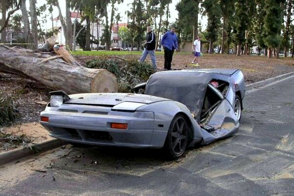 Un albero cadde sull auto. Incidente