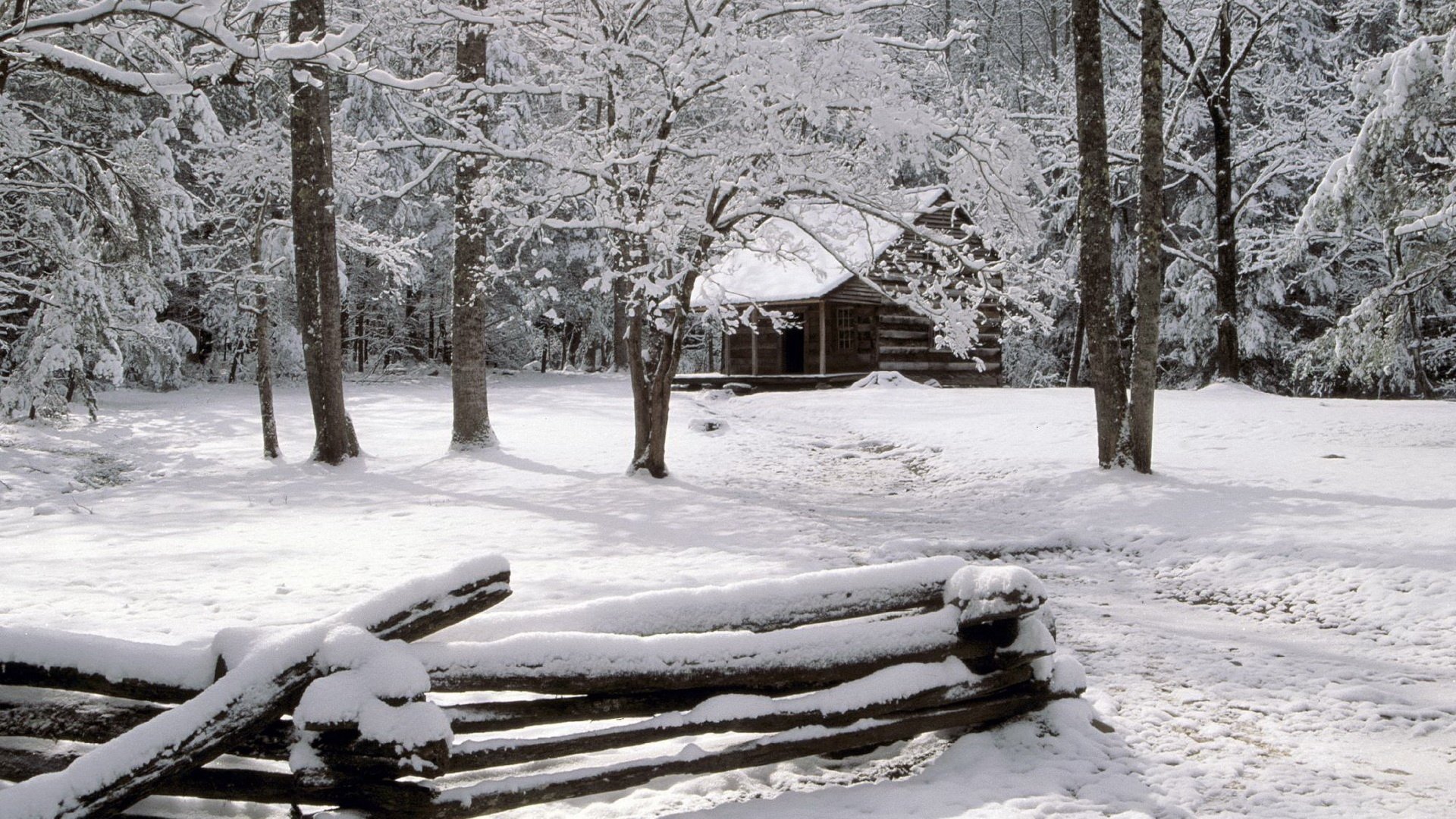 fence forester s house snow cover winter forest snow snowdrifts log