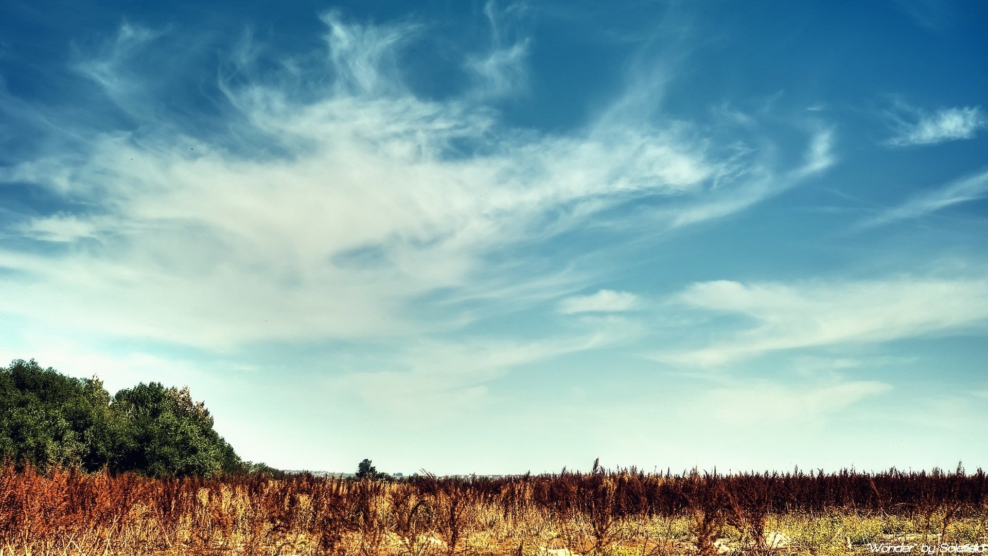 helle erde wattehimmel trockene büsche himmel feld bäume hintergrund