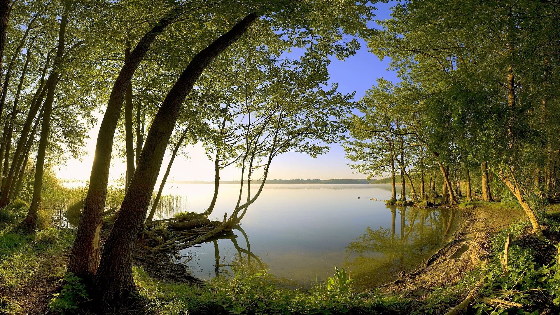 równowaga duchowa letni krajobraz zakątek las woda świt słońce promienie natura krajobraz brzeg spokój cisza