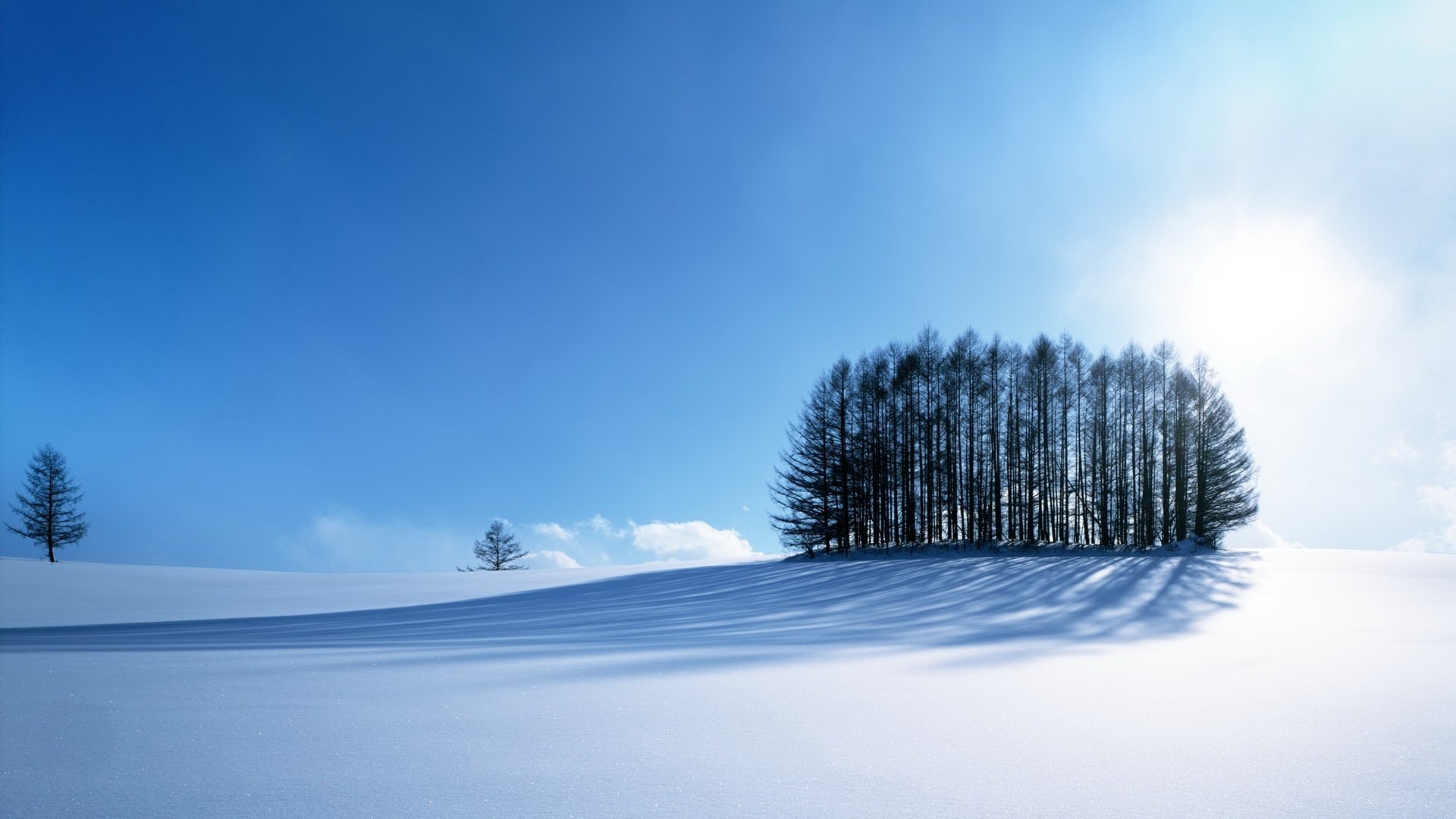 baumhaufen winterteppich schneeball himmel winter