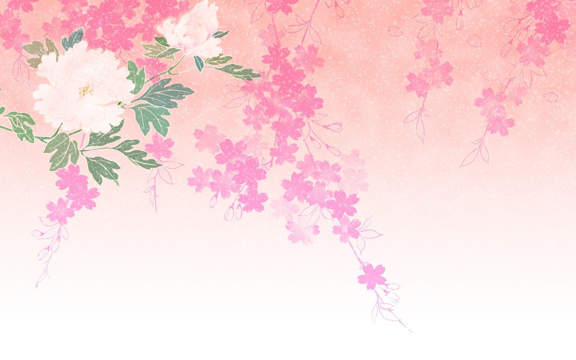 pink background white flower green sprig figure freshness tenderness flowering spring