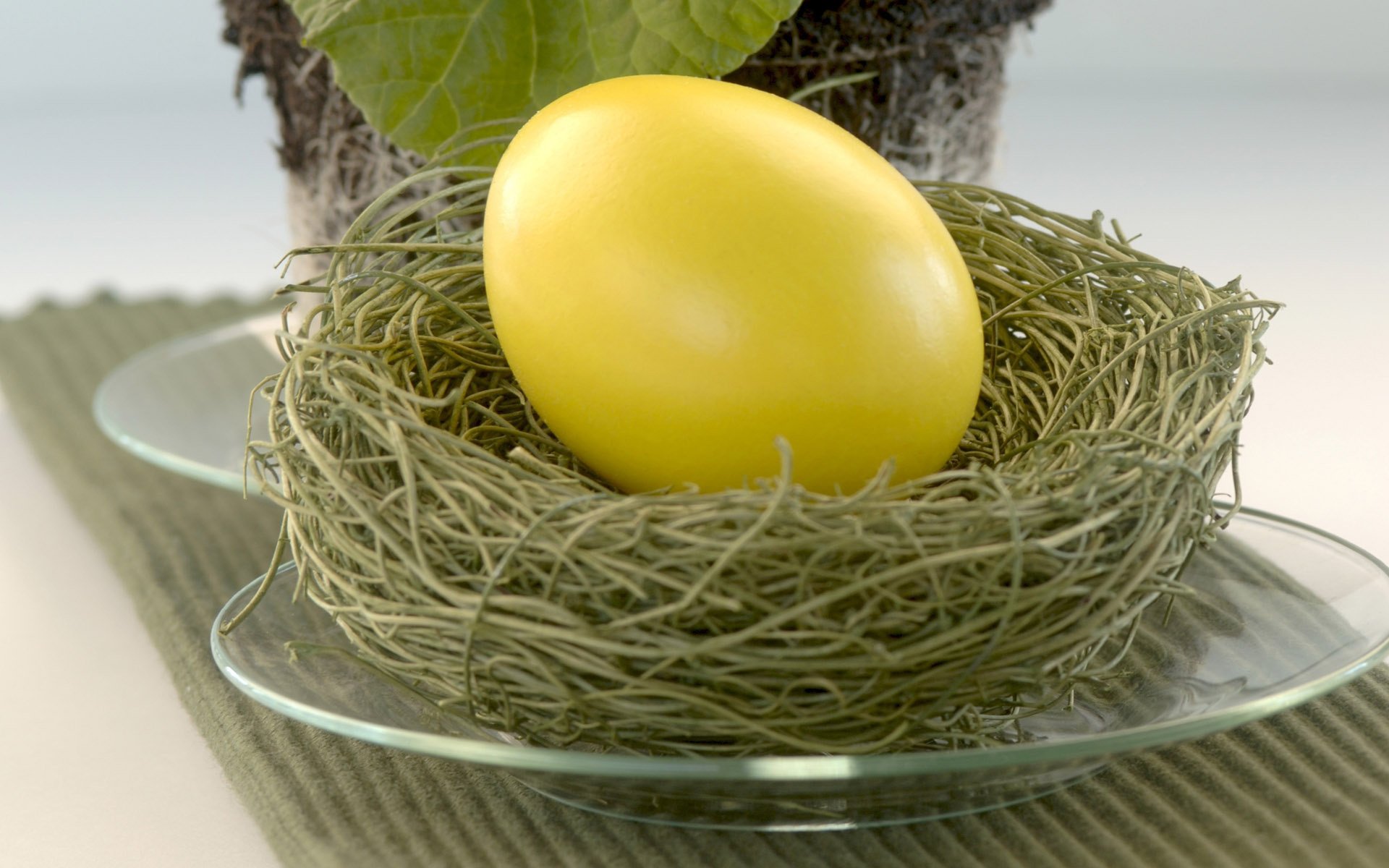 oeuf jaune nid assiette pâques