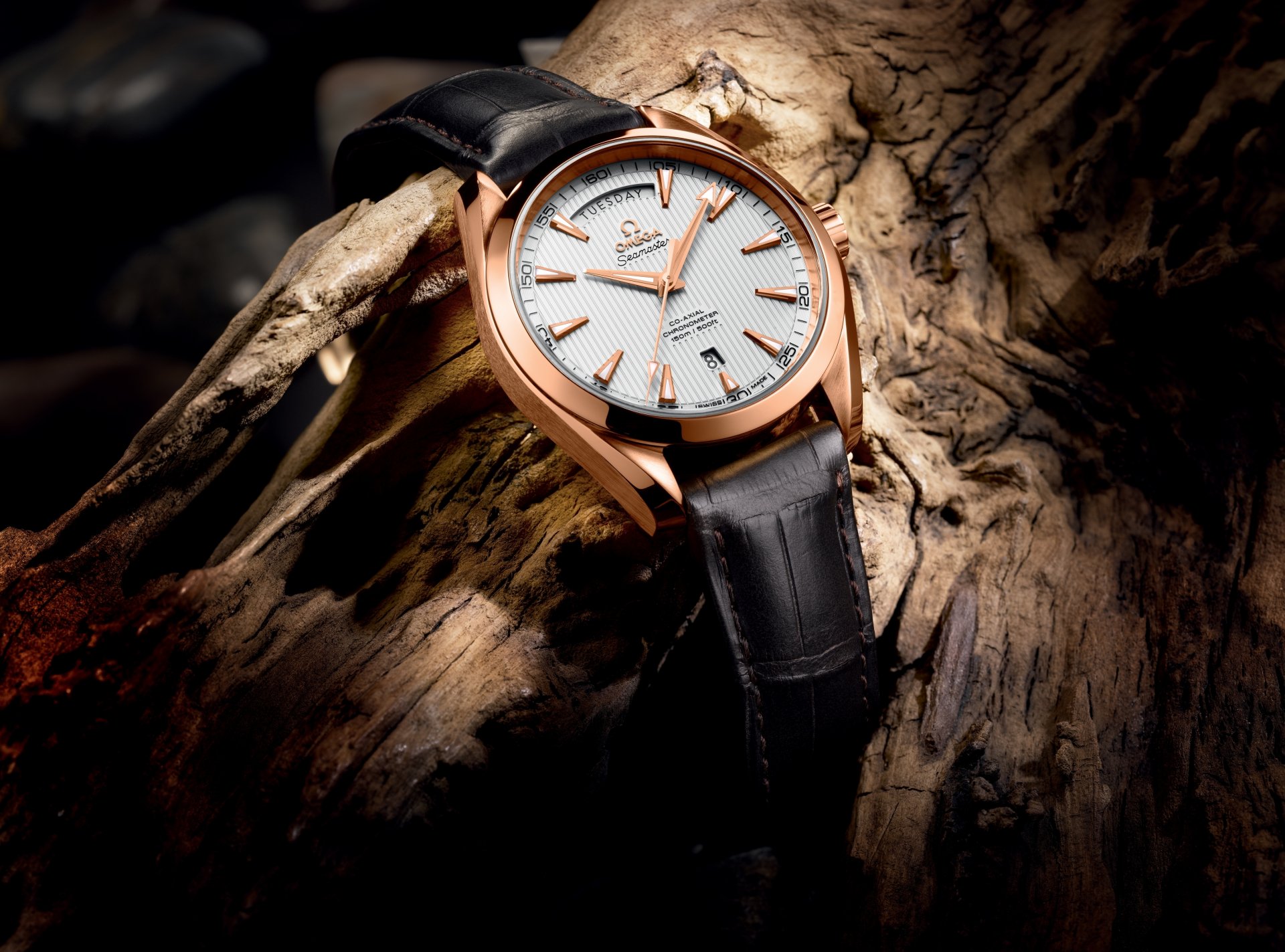 часы омега baselworld 2013-the seamaster aqua terra day-date